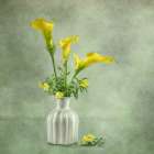 Calia Lillies Art Print