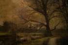 Old Tree Art Print