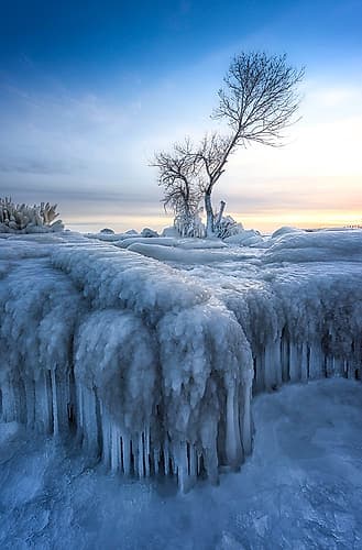 Winter Wonderland Landscape Print