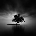 Back Light Art Print