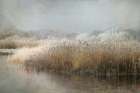 Wintermorning Art Print