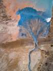 The Blue Tree Art Print