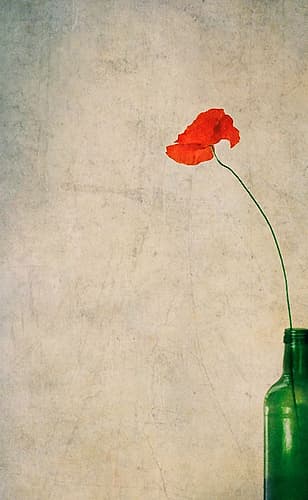 With Mouth Wide A-Pout For A Sultry Kiss... Minimalist Print