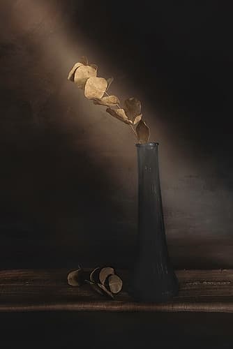 Partially Lighted Art Print