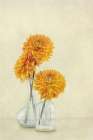 3 Dahlias Art Print