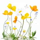 Spring Sunshine Art Print
