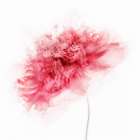 Poppy Impressions Art Print