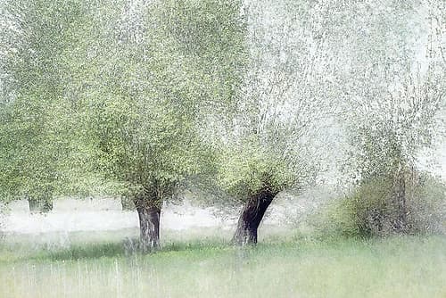 Young Green Art Print