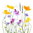 Floral Garden Art Print