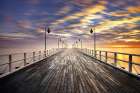 Morning Art Print