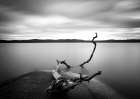 Branch Long Exposure Lake Art Print by Christian Lindsten