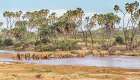 Why go to East Africa? Art Print