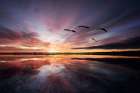 Morning Mood.. Art Print