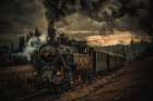 Gold Digger Train Art Print