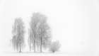 Winterstimmung Art Print
