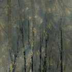 Bald Trees Art Print