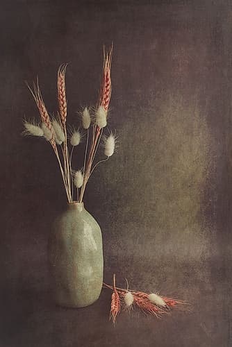 Soft Lines Minimalist Print