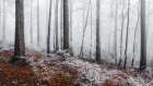 Winter moods Art Print