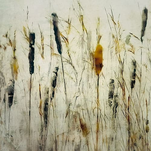 Cattail and reeds Art Print