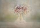 Dream bouquet Art Print
