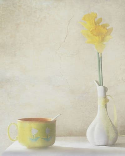 Daffodils Art Print