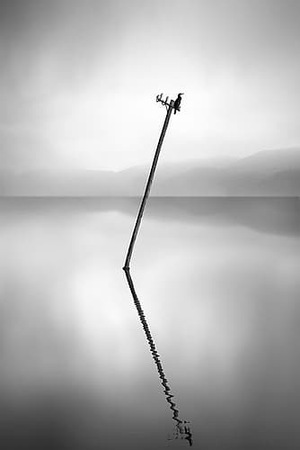 Waiting For The Sun Art Print