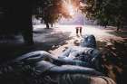 The forgotten buddha Art Print