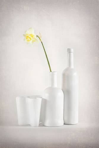Whitebloom Art Print by Richie Hatch