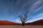 Deadvlei At Dusk Art Print