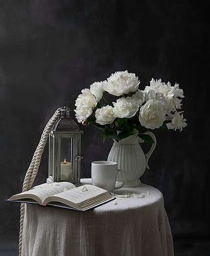 White Peony Art Print