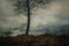 Silent Art Print