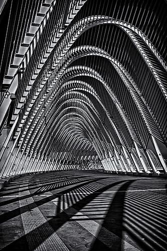 Calatrava Constraction #03 Games and Sports Print