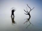 The transience Art Print