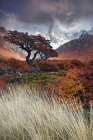 Mists of time Art Print