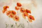Waving In The Wind Art Print