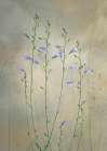 Lovely nature Art Print