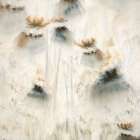 Seed Pods Art Print