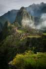 Andean Garden Art Print