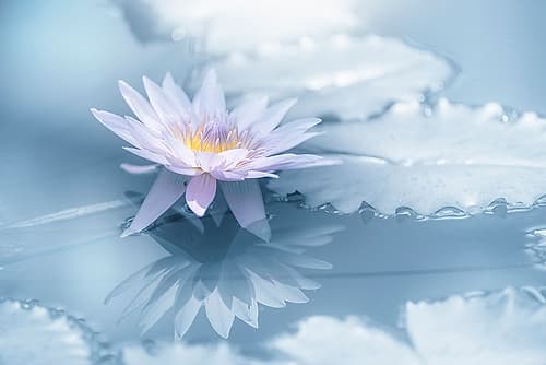 Reflection Art Print