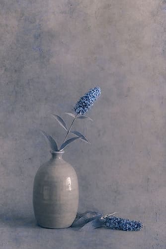 Blue Visions Art Print by Cicek Kiral