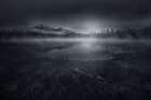 Morning Mist Art Print