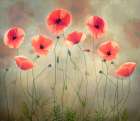 Poppy Dance Art Print