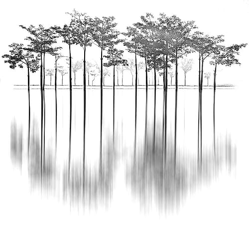 Reflections Landscape Print