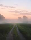 Foggy Road Art Print