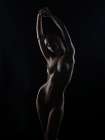 Academic nude 1 Art Print