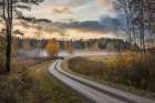 Drive In Autumn Colors Art Print