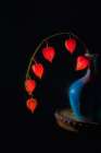 Chinese Lantern Art Print