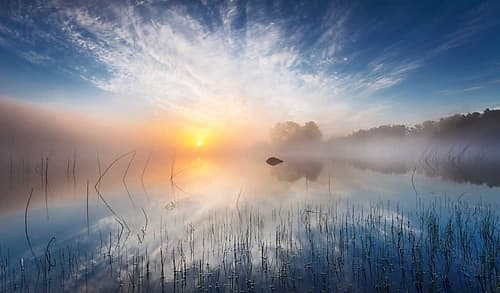 Reflection Art Print by Martin Lutz