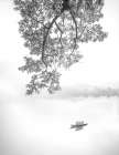 Early Spring Art Print