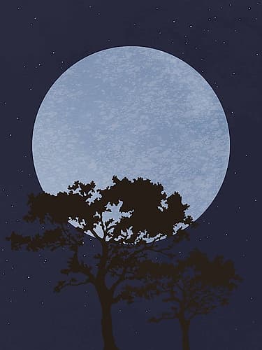 Dark Night Art Print by 1x Studio II